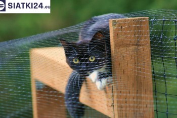 Siatki Lubsko - Dobra siatka balkonowa - na ptaki i dla kota dla terenów Lubska
