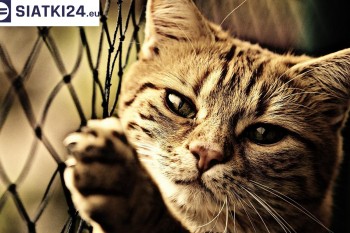 Siatki Lubsko - Siatki na balkony - zabezpieczenie dzieci i zwierząt dla terenów Lubska