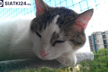 Siatki Lubsko - Siatka na balkony dla kota i zabezpieczenie dzieci dla terenów Lubska